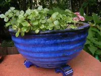 Blaue Schale.webp