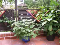 Trompete und Wachsglocke.webp