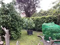 20170615_175324.webp