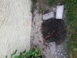 20170615_174319.jpg