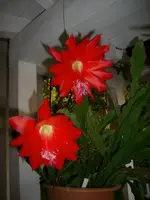DSCI0314.jpg