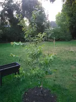 IMG_20170615_211710.webp