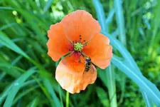 DSCF9102 (2).webp