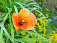 DSCF9139 (2).webp