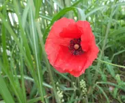 DSCF9156 (2).webp