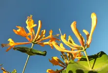 DSCF9072 (2).webp