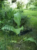 BILD7077.webp