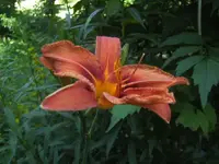 BILD7082.webp
