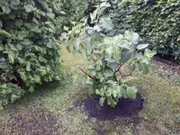 20170616_165551.webp