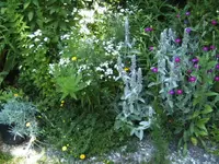 BILD7086.webp