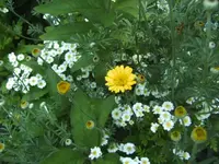 BILD7087.webp