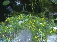 BILD7089.webp