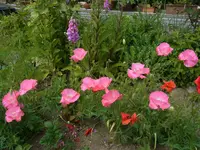 019.webp