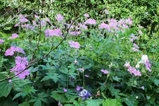 DSCF9122 (2).webp