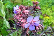 DSCF9130 (2).webp