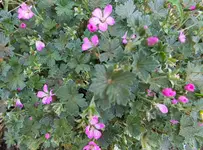 DSCF9155 (2).webp