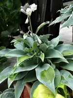 DSC00297.webp