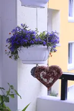 _MG_8181.webp