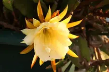 025.webp