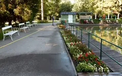 Morgens beim händischen Gießen der Pflanzeninsel im Rosarium Baden.webp