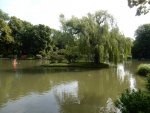 Teich im Doblhoffpark.jpg