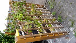 PHOTO_20170617_192237.webp