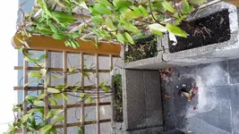 PHOTO_20170617_192248.webp