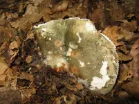 006_1067x800.webp