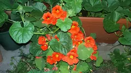 20170612_213635.webp