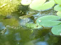 P1020118.webp