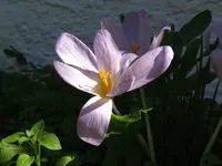 IMG_6766v (2).webp