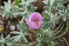 DSCF9184.webp