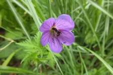DSCF9191.webp