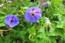 DSCF9192 (2).webp