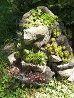 BILD7042.webp