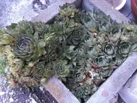 BILD6791.webp