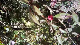 20170618_092342.webp