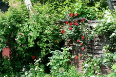IMG_2172.webp