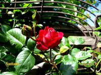 IMG_7941.webp