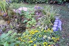 Teich.webp