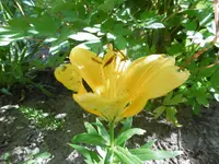 P1010060.webp