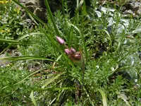 P1010071.webp