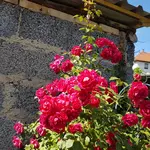 20170618_160658.jpg