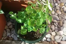 20170618_173344-1_resized.webp