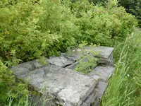 P1060020.webp