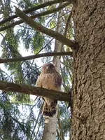 IMG-20170614-WA0003.jpg