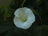 BILD7179.webp BILD7179.webp