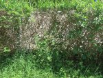Hecke3.jpg