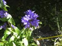 BILD7139.webp