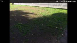 Screenshot_20170619-104206.webp